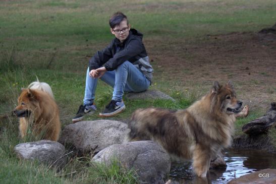 Chow-Chow-Hündin Sina(li.) und Franka von der Saline