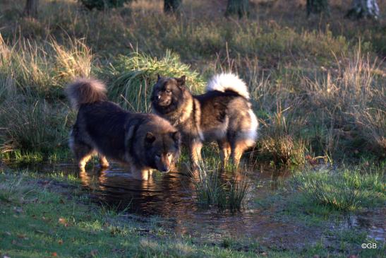 Mama Sanny(vorne, li.) und Tochter Bonny