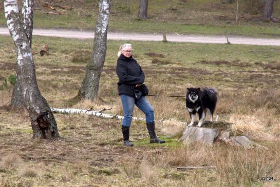 Aponi-Puma von der Ebschieder Höh