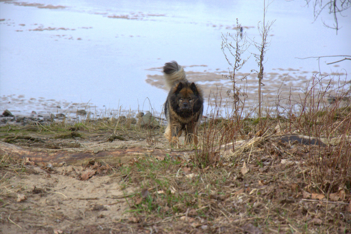 Bonny vom Bossardpfad