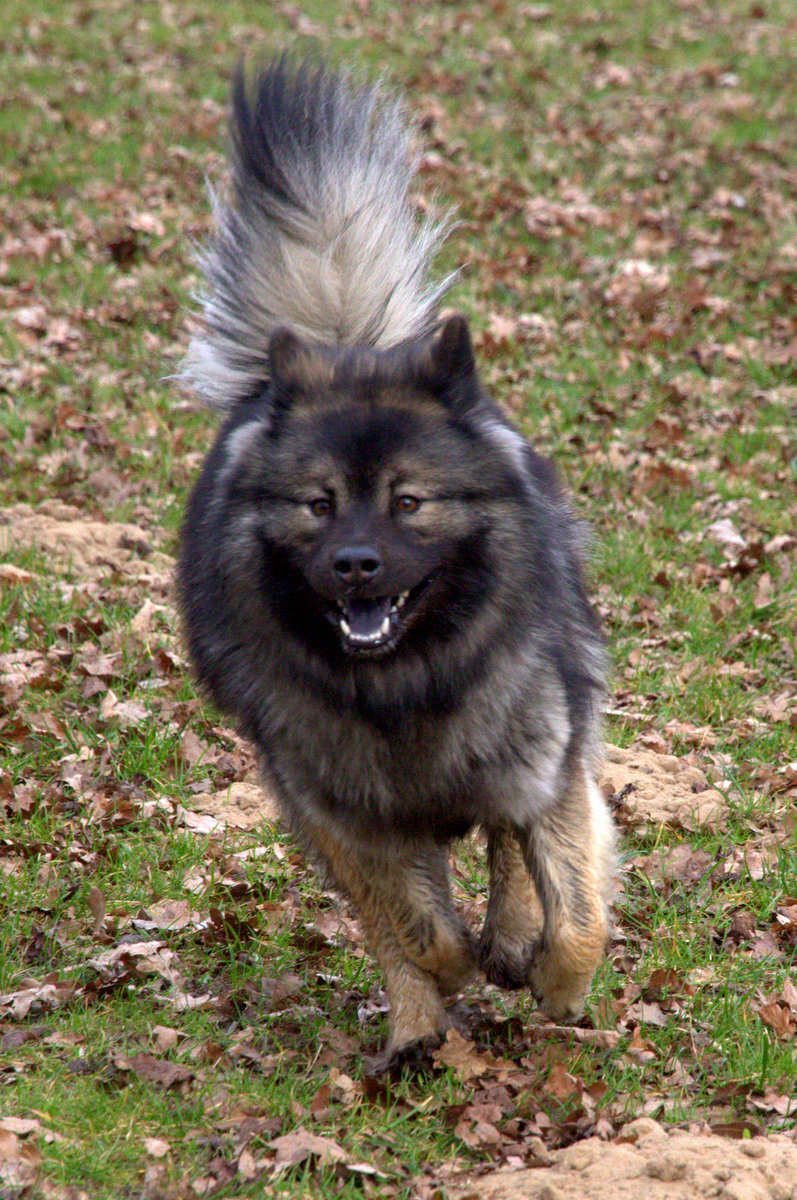 Antonia (Toni) von den Holsteiner Seen